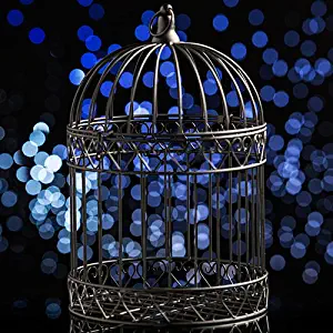 Shindigz Decorative Black Bird Cage Centerpiece