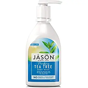 Jason Body Wash Tea Tree, Double Pack