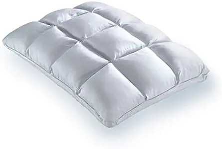 PureCare PCFRIOP602 SUB-0 Degree SoftCell Chill Reversible Hybrid Pillow, Technical Textile, Standard, White