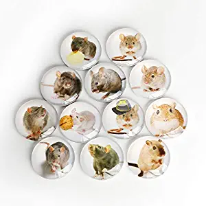 Rat Mice Refrigerator Magnet Party Set of 12 Pack 3D Round Face For Silver Fridge Office Dry Erase Board Stainless Steel Door Freezer Whiteboard Cabinet Magnetic Great Fun for Adult Girl Boy Kid