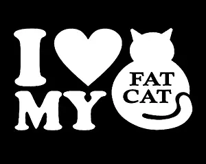 Makarios LLC I Love My Fat cat Cars Trucks Vans Walls Laptop MKR| White |5.5 x 3|MKR425