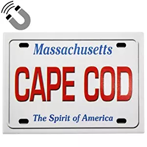 Cape Cod Massachusetts License Plate Fridge Collector's Souvenir Magnet 2.5" X 3.5"