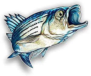 Magnet Striped Bass Fish Magnetic vinyl bumper sticker sticks to any metal fridge, car, signs 5"