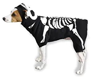 Casual Canine Glow Bones Dog Skeleton Pet Costume