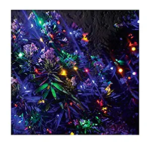 Stay Off The Roof Super Bright Mesh LED Christmas Net Lights Set - Multicolored - 150-Piece 6 ft x 4 ft Lighted Length for Outdoor Bushes and Decorations, Connect up to 18 Sets