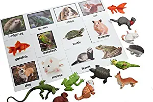 Montessori Pet Animal Match - Miniature Pet Animal Toy Figurines with Matching Cards - 2 Part Cards. Montessori Learning Toy, Language Materials Busy Bag Activity