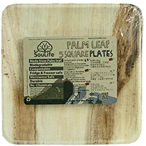 Ecosoulife Palm Leaf Square Plate - 5pc