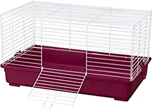 Kaytee Complete Guinea Pig Kit