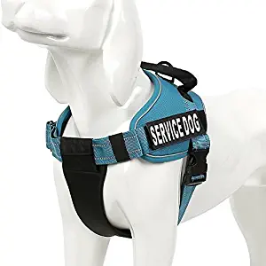 Chai's Choice Service Dog Vest Harness Best 2 Reflective Service Dog Patches and Sturdy Handle. Small to Large Breed. 8 Colors and Matching Padded Leash Available. Sizing Chart at Left