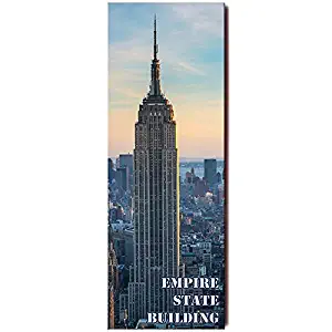 Empire State Building panoramic fridge magnet New York travel souvenir