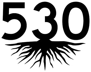 JMM Industries 530 Roots California Area Code CA Vinyl Decal Sticker Black Car Window Bumper 5.5 Inches Premium Quality UV Resistant Laminate ACS0297