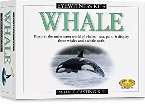 Skullduggery Eyewitness Kit Whale Casting Kit