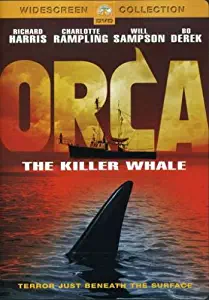 Orca - The Killer Whale