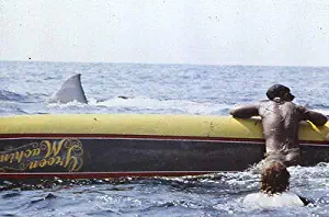 Jaws 2 Shark Attack Original Universal Studios Stamped 35mm Slide Transparency