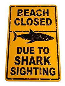 Beach Closed Shark Sighting Street Sign