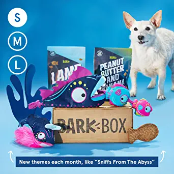 BarkBox Subscription - The Best Toys & Treats For Your Dog Every Month: Small (0-20lb)