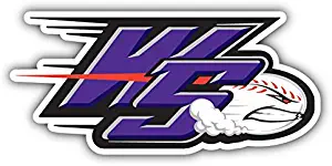 qualityprint Winston Salem Dash MiLB Minor Baseball Sport Decor Bumper Vinyl Sticker 6'' X 3''