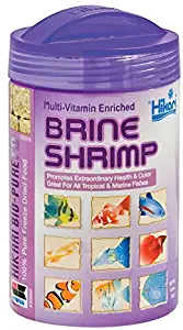 Hikari Bio-Pure FD Brine Shrimp