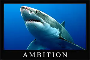 HSE Great White Shark Ambition Motivational Poster 24X36 Persistence empowering