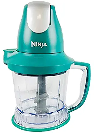 Ninja Storm Master Prep Food Processor Blender Powerful One Touch 450W Motor Pod BPA-Free Pitcher Dishwasher Safe QB751Q (Renewed) (Emerald)