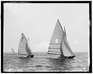 Infinite Photographs Photo: Al-Anka,Shark,Momo,sloop,Yacht,Water Vessels,Boats,Ships,Detroit Publishing,1897