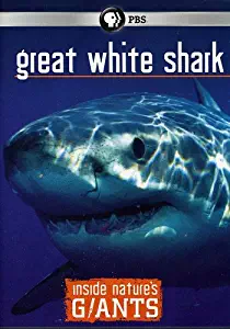 Inside Nature's Giants: Great White Shark