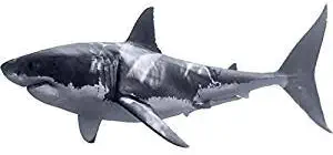 VWAQ Great White Shark Wall Decal Realistic Shark Stickers Peel and Stick Mural PAS3 (20" H X 48" W)