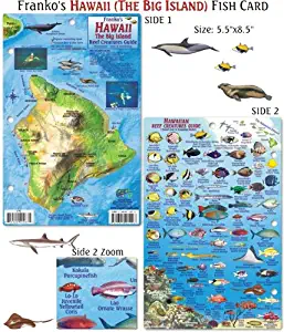 Franko Maps Hawaii Reef Creatures Fish ID for Scuba Divers and Snorkelers