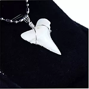 GemShark Shark Tooth Necklace Great White Sterling Silver Cap Winding Charm Pendant for Boys Girls Unisex