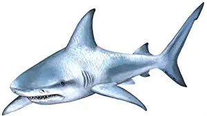 Walls of the Wild Shark Wall Decal Lifelike Shark Wall Sticker (40 in. x 20 in.)