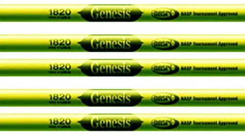 Easton Genesis V2 Arrow (Pack of 6), 1820, Green